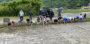 Taue3