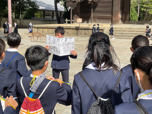 Gaido_koudai